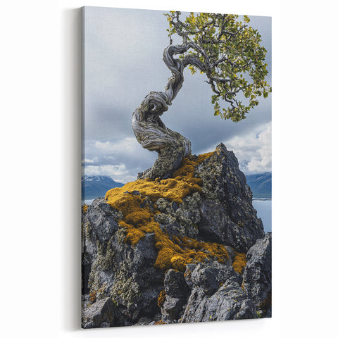 Resilient Bonsai Tree – Forest Art Prints & Nature Wall Art