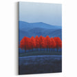 Vibrant Red Trees - Fine Art Photography Canvas Prints