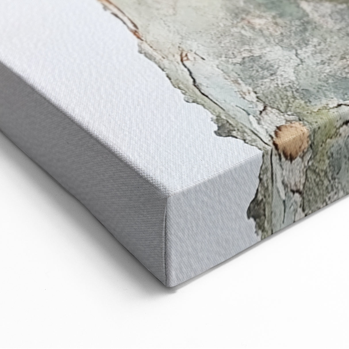 Textured Tree Bark – Abstract Nature Wall Art & Botanical Prints