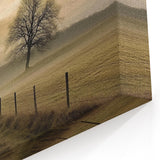 Misty Countryside Tree - Fine Art Photography Framed Prints