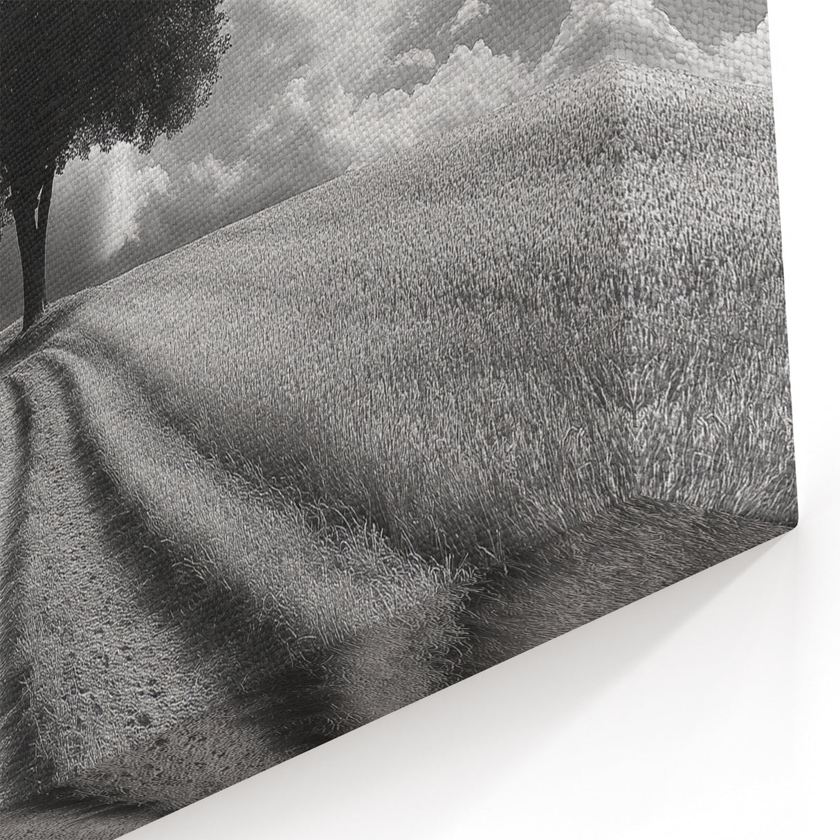 Dramatic Lone Tree - Fine Art Photography Metal Prints