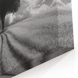 Dramatic Lone Tree - Fine Art Photography Metal Prints