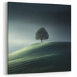 Misty Hilltop Tree - Fine Art Photography Framed Prints