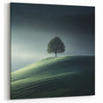Misty Hilltop Tree - Fine Art Photography Framed Prints