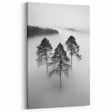 Misty Forest Trio - Fine Art Photography Framed Prints