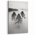 Misty Forest Trio - Fine Art Photography Framed Prints