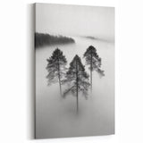 Misty Forest Trio - Fine Art Photography Framed Prints