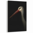 Stork in Shadows - Fine Art Photography Framed Prints