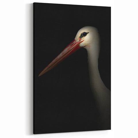 Stork in Shadows - Fine Art Photography Framed Prints