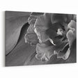 Monochrome Tulip Bloom - Fine Art Photography Framed Prints
