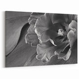 Monochrome Tulip Bloom - Fine Art Photography Framed Prints