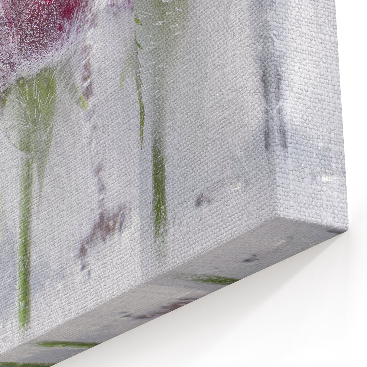 Frozen Roses Elegance - Fine Art Photography Acrylic Prints