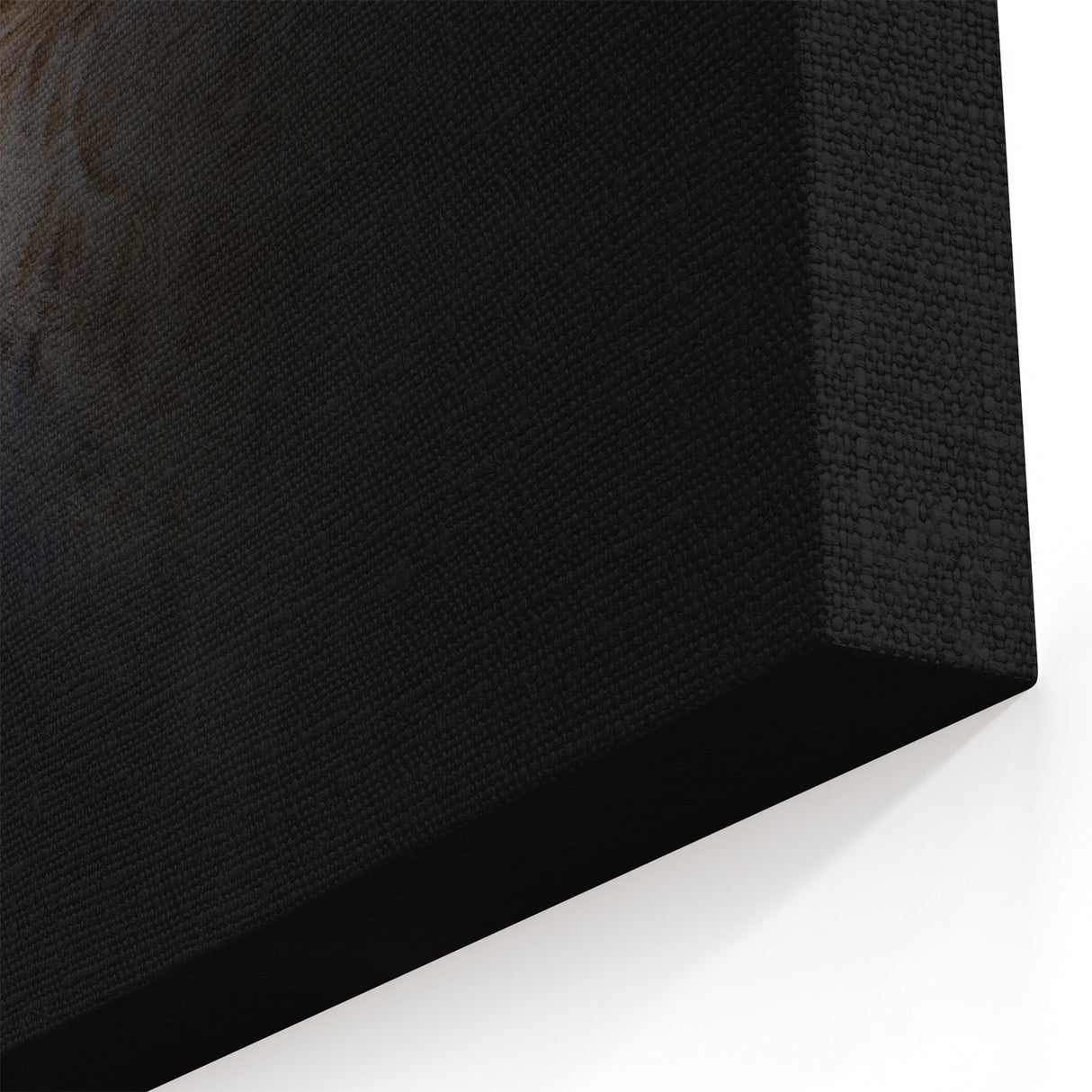 Minimalist Goose Portrait - Fine Art Photography Wall Decor
