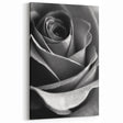 Black and White Rose - Fine Art Photography Canvas Print