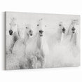 Wild Horses in Motion - Black & White Fine Art Photography