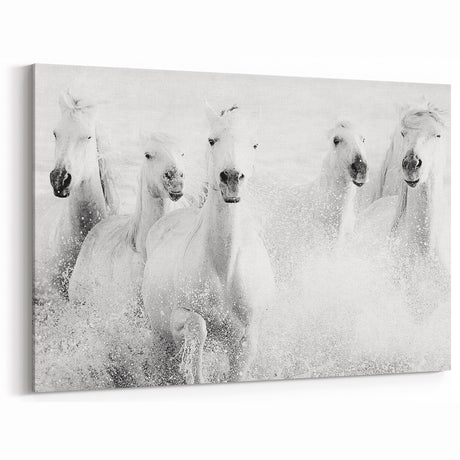 Wild Horses in Motion - Black & White Fine Art Photography