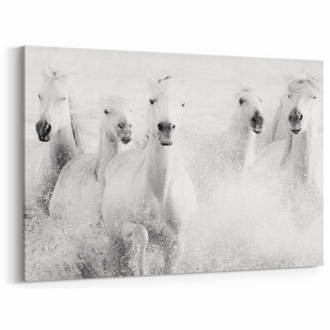 Wild Horses in Motion - Black & White Fine Art Photography