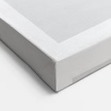Minimalist Shell Close-Up – Black & White Fine Art Photography Print