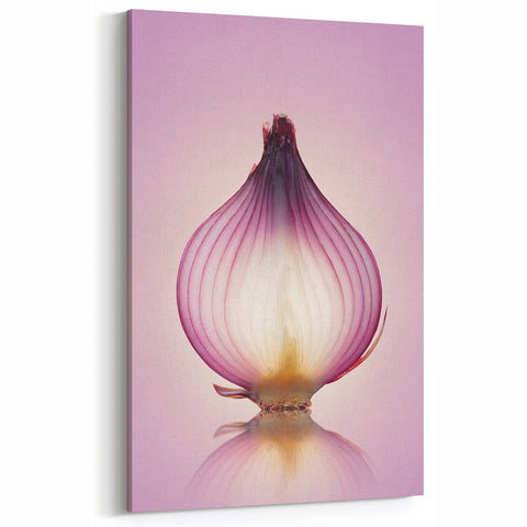 Translucent Red Onion – Fine Art Kitchen Photography Print