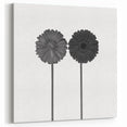 Floral Symmetry - Fine Art Photography Framed Prints