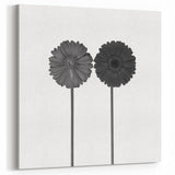 Floral Symmetry - Fine Art Photography Framed Prints