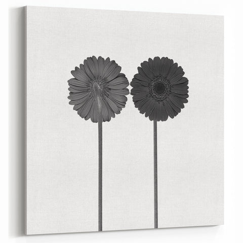 Floral Symmetry - Fine Art Photography Framed Prints