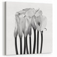 Calla Lilies Elegance - Fine Art Photography Canvas Prints