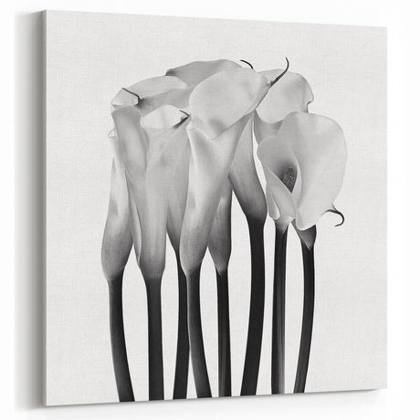 Calla Lilies Elegance - Fine Art Photography Canvas Prints
