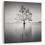 Solitary Tree Reflection - Fine Art Photography Framed Prints