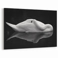 Resting Swan Reflection - Fine Art Photography Acrylic Prints
