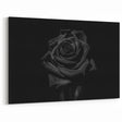 Black Rose Elegance - Fine Art Photography Canvas Prints