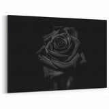 Black Rose Elegance - Fine Art Photography Canvas Prints