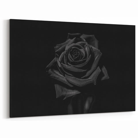Black Rose Elegance - Fine Art Photography Canvas Prints