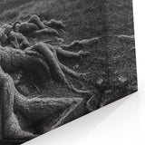Ancient Roots and Mountains - Fine Art Photography Canvas Prints