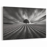 Lone Tree Horizon – Fine Art Photography Canvas Prints