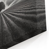 Lone Tree Horizon – Fine Art Photography Canvas Prints