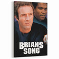 Brian’s Song 1970s Vintage Movie Poster Classic 70s Film Art