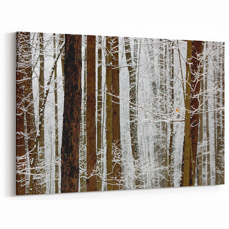 Serene Landscape Photography Prints – Winter Wonderland Wall Art