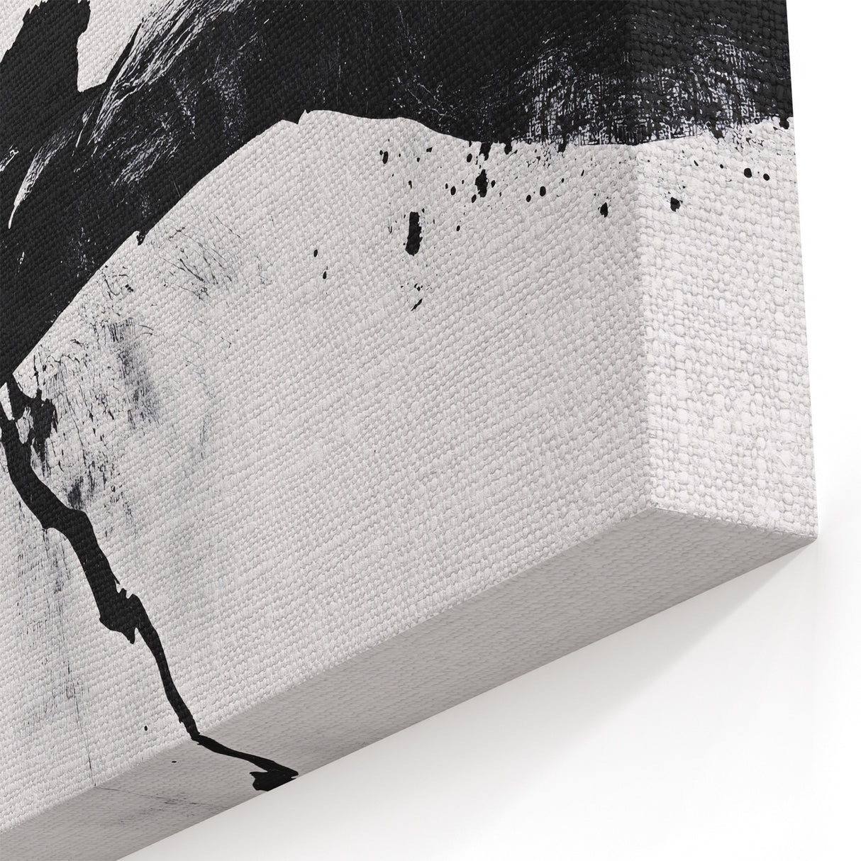Bold Black and White Abstract Wall Art - Organic Expression Canvas