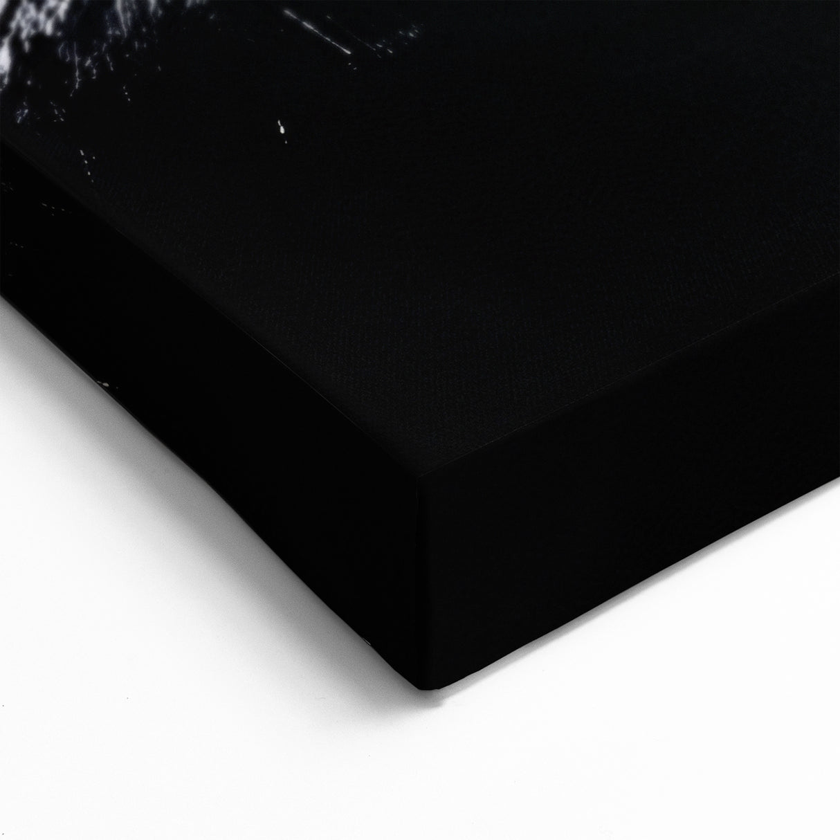 Bold Black and White Abstract Wall Art - Organic Expression Canvas