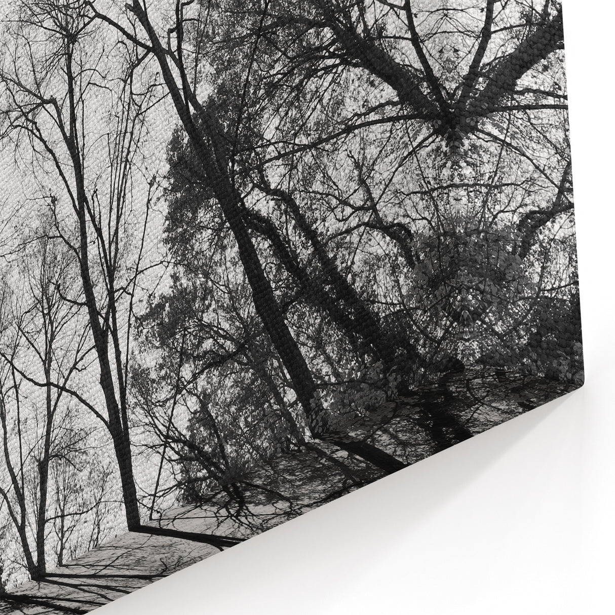 Urban Architectural Wall Art – Modern Cityscape Photography Print