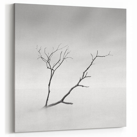 Minimalist Landscape Wall Art – Solitary Branch in Soft Mist