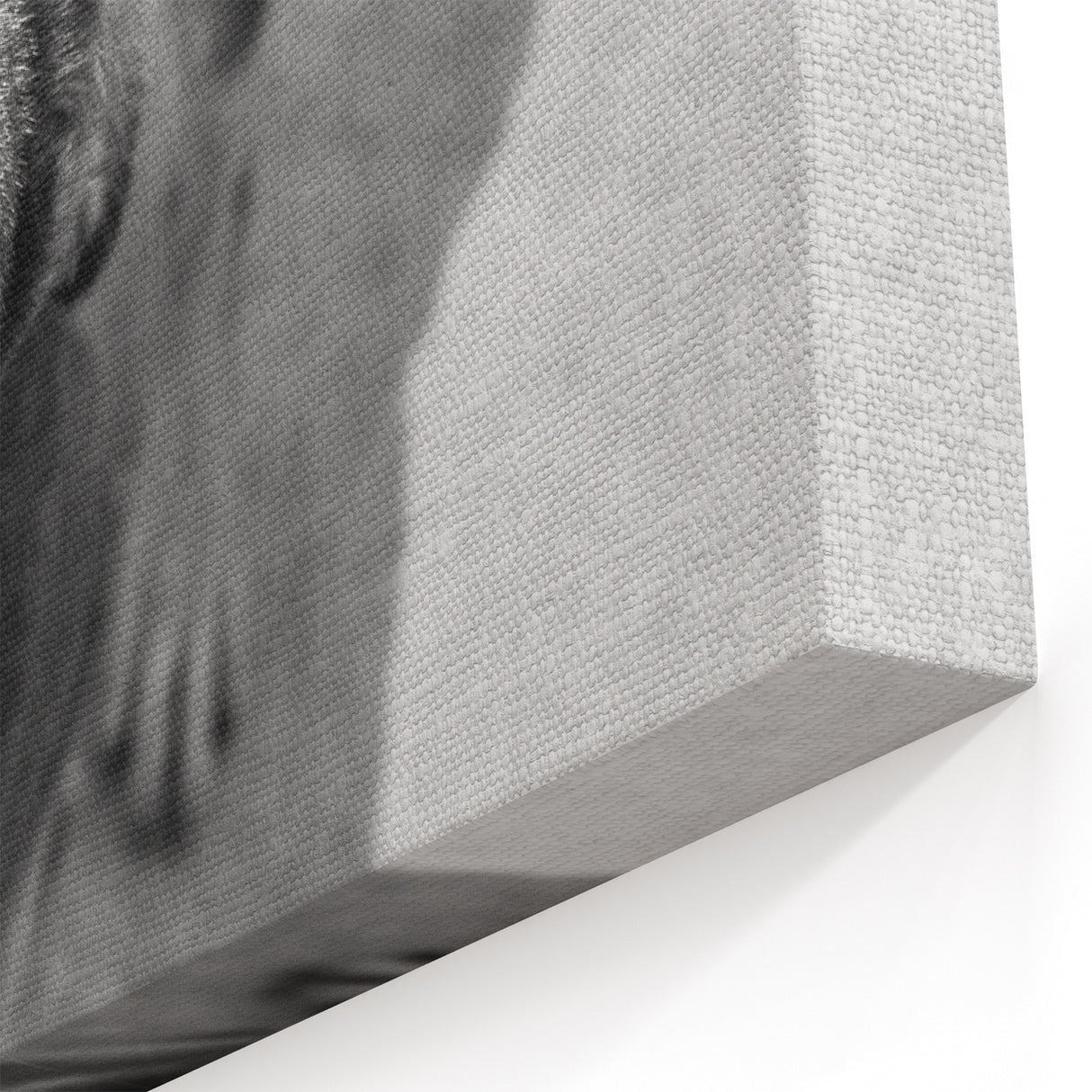 Urban Architectural Wall Art – Black and White Dog Photography