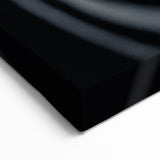 High Contrast Abstract Paintings – Zebra-Inspired Monochrome Art