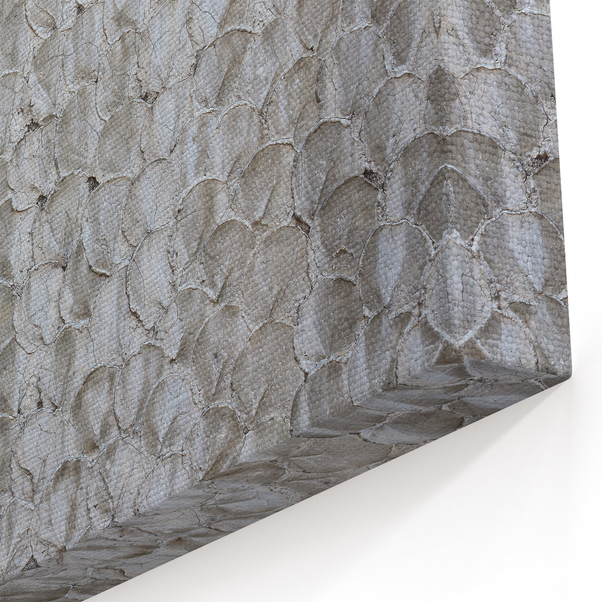 Modern Abstract Canvas Prints with Textured Petal Pattern – Neutral Art