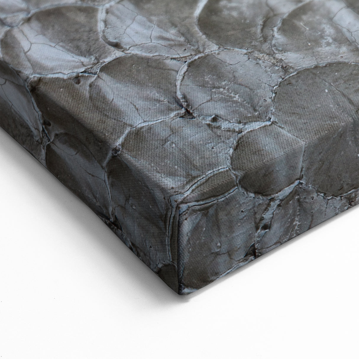 Modern Abstract Canvas Prints with Textured Petal Pattern – Neutral Art