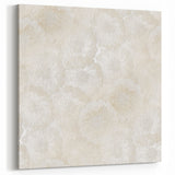 Contemporary Framed Abstract Art – Soft Beige Floral Texture Design