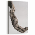Modern Abstract Canvas Prints – Organic Gray and Brown Texture