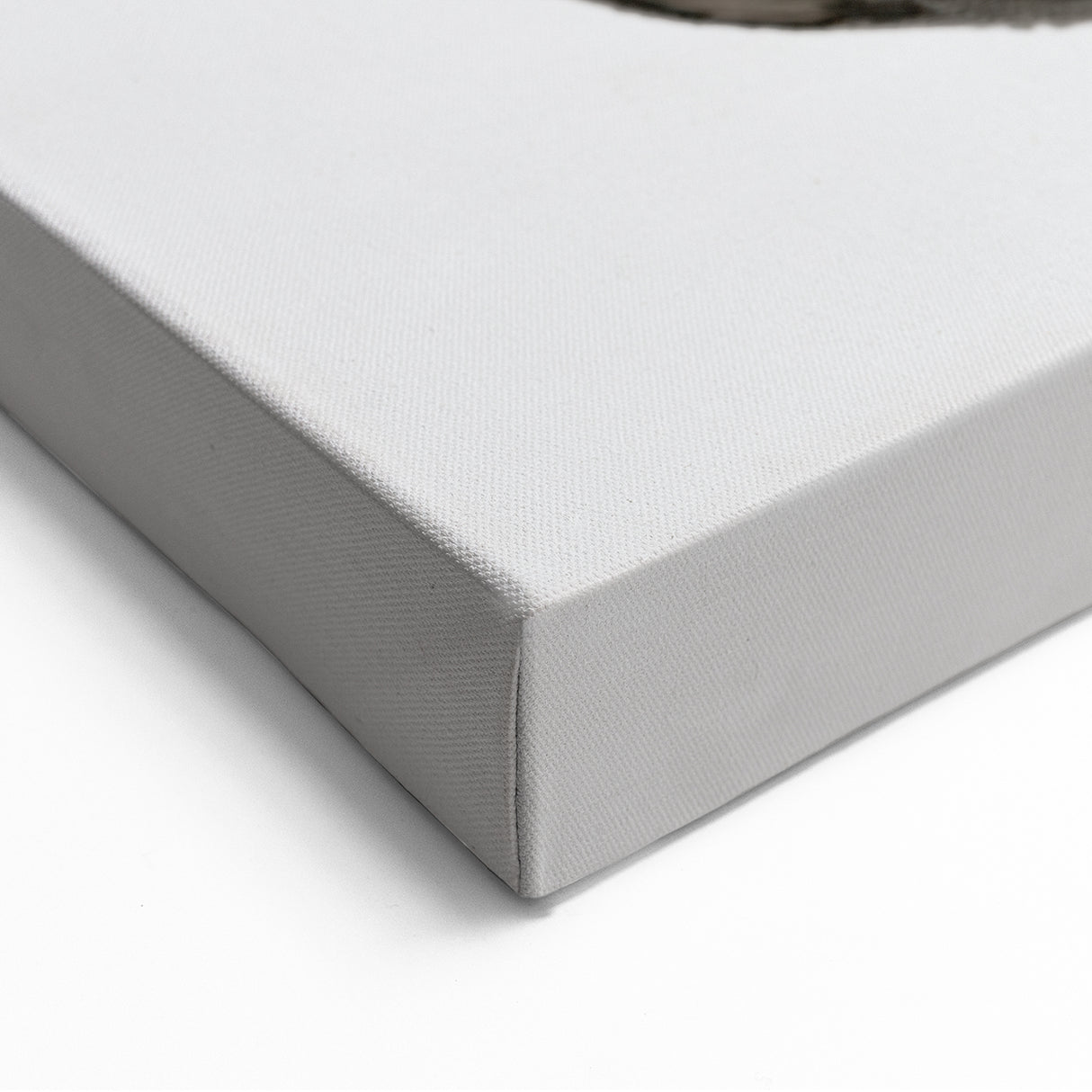 Modern Abstract Canvas Prints – Organic Gray and Brown Texture