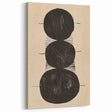 Abstract Geometric Framed Art – Minimalist Black Circles on Beige